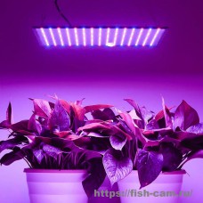 Светодиодная лампа для выращивания, фитолампа для выращивания растений
